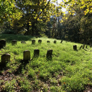 Headstones visible above green grass in cemetery