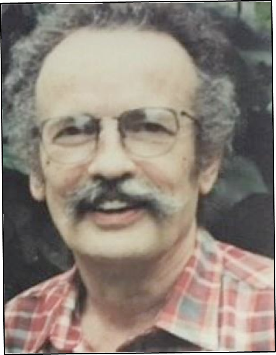 Man with a mustache wearing glasses and a plaid shirt.