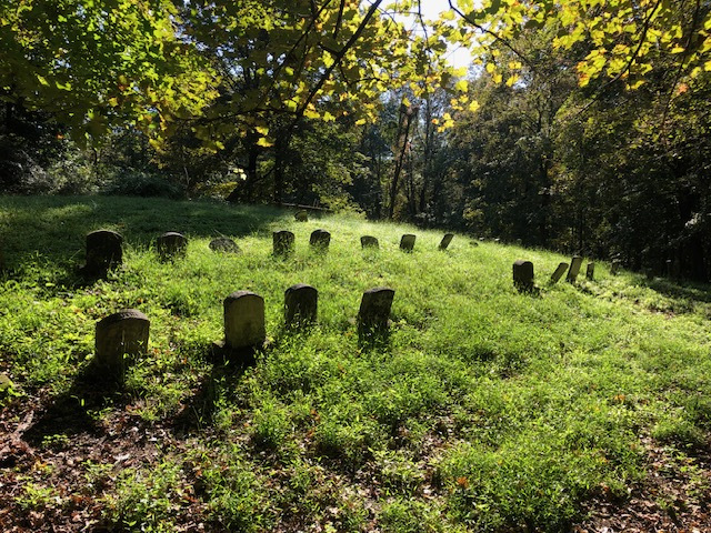 A group of tombstones in a grassy area.