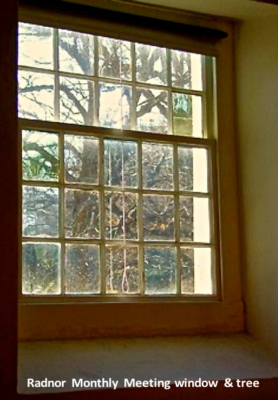 Vintage window overlooking a tree at the radnor monthly meeting.